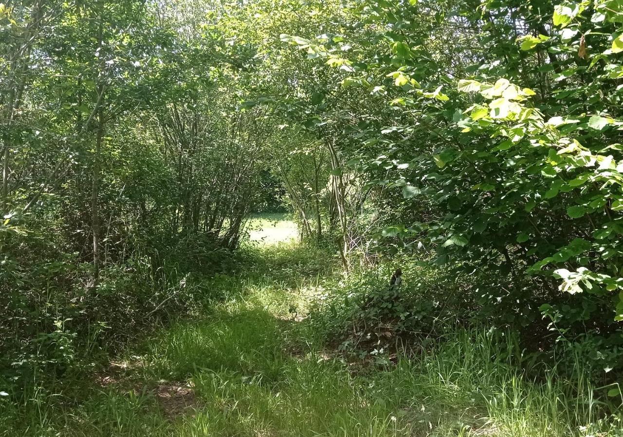 Tente Safari Lodge Dans Foret Luxuriante Vielle-Tursan Buitenkant foto